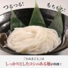 『さぬきごえ』は しっかりとしたコシのある麺が特徴！