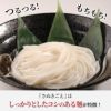 『さぬきごえ』はしっかりとしたコシのある麺が特徴！