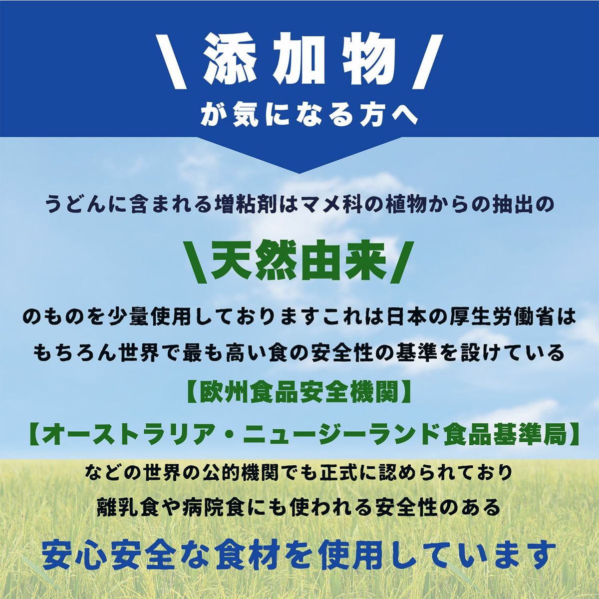 【お試し】グルテンフリー 米粉うどん と グルテンフリー うどんダシ付き 2人前セット